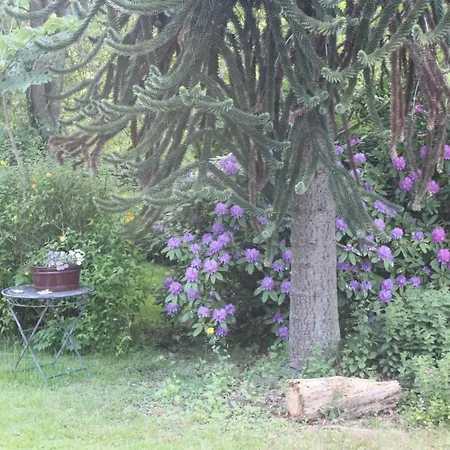 Feriehus In Mit Grossem Garten By Interhome Stollhamm